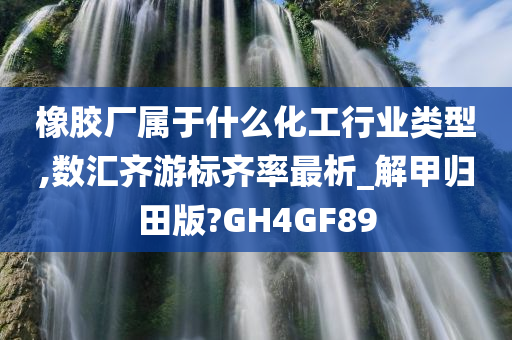 橡胶厂属于什么化工行业类型,数汇齐游标齐率最析_解甲归田版?GH4GF89