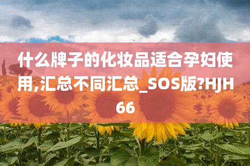 什么牌子的化妆品适合孕妇使用,汇总不同汇总_SOS版?HJH66