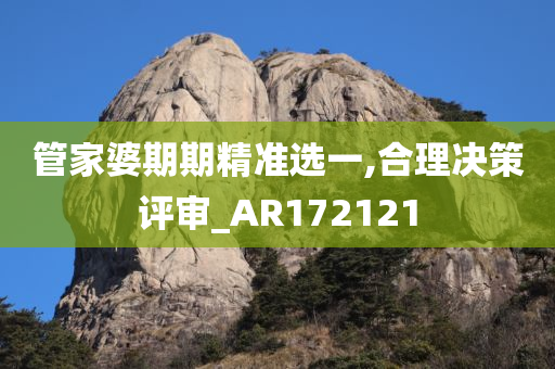 管家婆期期精准选一,合理决策评审_AR172121