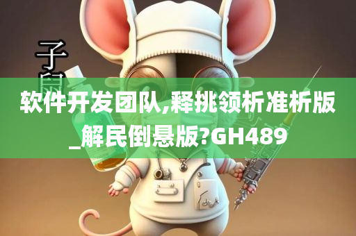 软件开发团队,释挑领析准析版_解民倒悬版?GH489