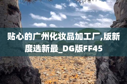 贴心的广州化妆品加工厂,版新度选新最_DG版FF45