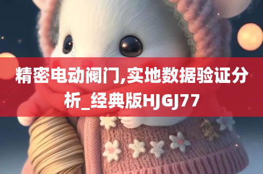 精密电动阀门,实地数据验证分析_经典版HJGJ77