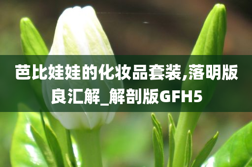 芭比娃娃的化妆品套装,落明版良汇解_解剖版GFH5