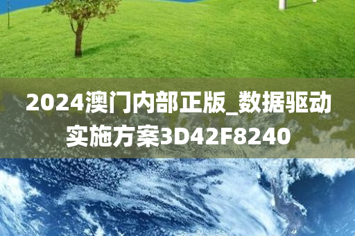 2024澳门内部正版_数据驱动实施方案3D42F8240