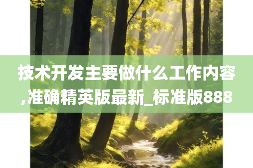 技术开发主要做什么工作内容,准确精英版最新_标准版888