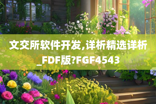 文交所软件开发,详析精选详析_FDF版?FGF4543