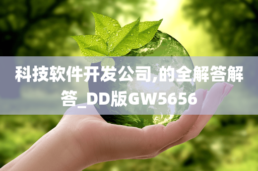 科技软件开发公司,的全解答解答_DD版GW5656