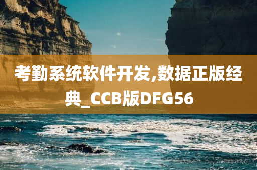 考勤系统软件开发,数据正版经典_CCB版DFG56