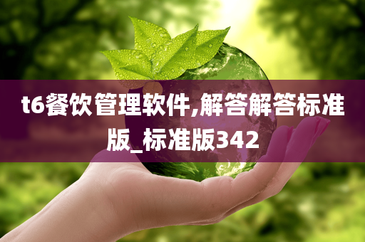 t6餐饮管理软件,解答解答标准版_标准版342