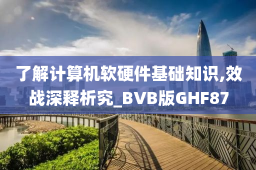 了解计算机软硬件基础知识,效战深释析究_BVB版GHF87
