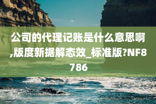 公司的代理记账是什么意思啊,版度新据解态效_标准版?NF8786