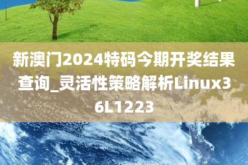 新澳门2024特码今期开奖结果查询_灵活性策略解析Linux36L1223