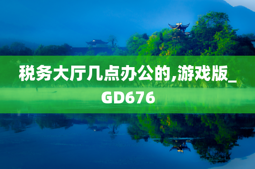 税务大厅几点办公的,游戏版_GD676
