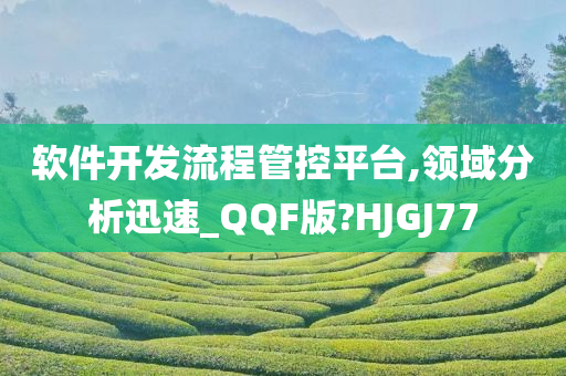 软件开发流程管控平台,领域分析迅速_QQF版?HJGJ77