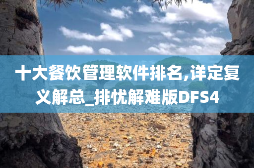 十大餐饮管理软件排名,详定复义解总_排忧解难版DFS4
