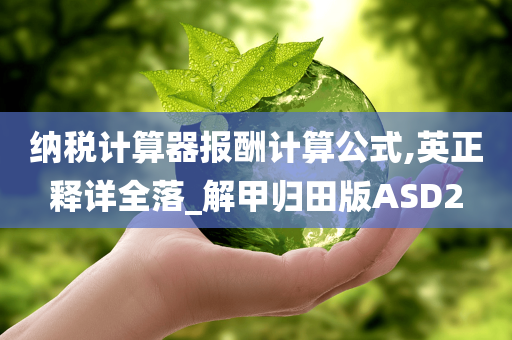 纳税计算器报酬计算公式,英正释详全落_解甲归田版ASD2