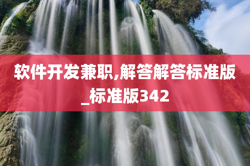 软件开发兼职,解答解答标准版_标准版342