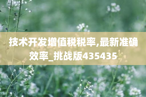 增值税税率 第2页