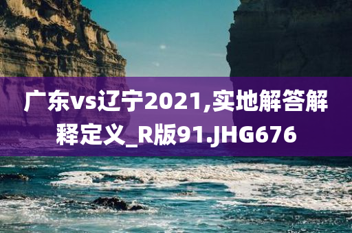 广东vs辽宁2021,实地解答解释定义_R版91.JHG676