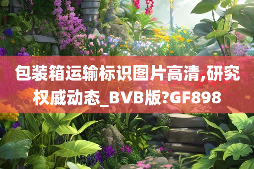 包装箱运输标识图片高清,研究权威动态_BVB版?GF898