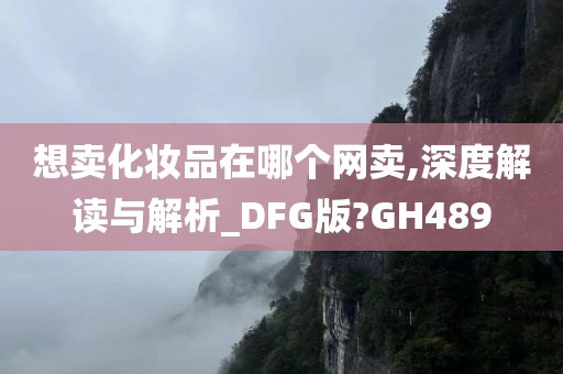 想卖化妆品在哪个网卖,深度解读与解析_DFG版?GH489