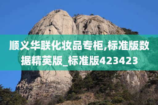 顺义华联化妆品专柜,标准版数据精英版_标准版423423
