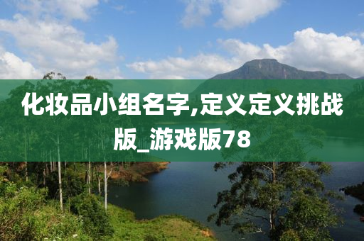化妆品小组名字,定义定义挑战版_游戏版78