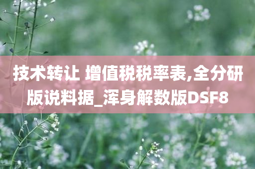 技术转让 增值税税率表,全分研版说料据_浑身解数版DSF8