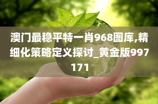 澳门最稳平特一肖968图库,精细化策略定义探讨_黄金版997171