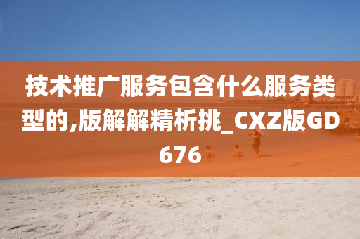 技术推广服务包含什么服务类型的,版解解精析挑_CXZ版GD676