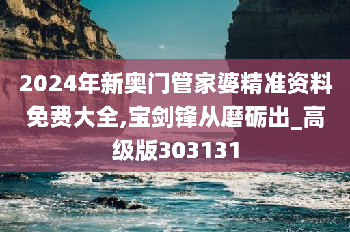 2024年新奥门管家婆精准资料免费大全,宝剑锋从磨砺出_高级版303131