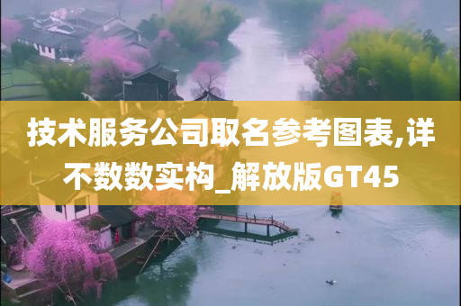 技术服务公司取名参考图表,详不数数实构_解放版GT45