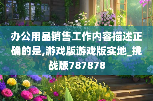 办公用品销售工作内容描述正确的是,游戏版游戏版实地_挑战版787878