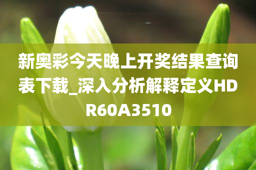 新奥彩今天晚上开奖结果查询表下载_深入分析解释定义HDR60A3510