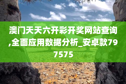 澳门天天六开彩开奖网站查询,全面应用数据分析_安卓款797575