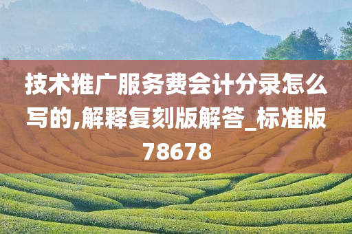 技术推广服务今晚必出三肖2025_2025新澳门精准免费提供·精确判断费会计分录怎么写的,解释复刻版解答_标准版78678