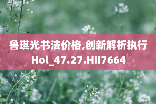 鲁琪光书法价格,创新解析执行Hol_47.27.HII7664