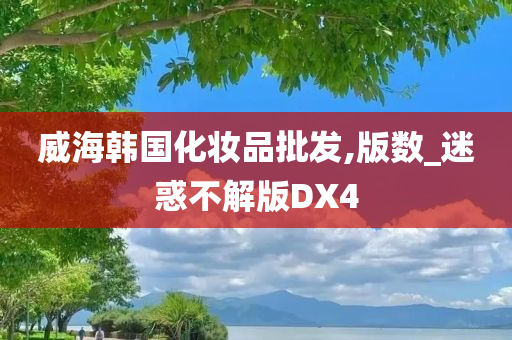 威海韩国化妆品批发,版数_迷惑不解版DX4