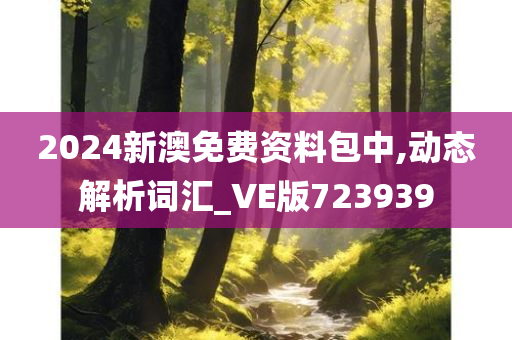 2024新澳免费资料包中,动态解析词汇_VE版723939