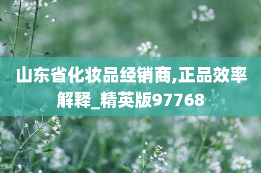 山东省化妆品经销商,正品效率解释_精英版97768