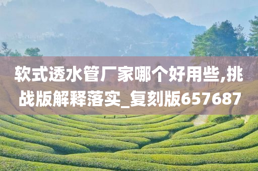 软式透水管厂家哪个好用些,挑战版解释落实_复刻版657687