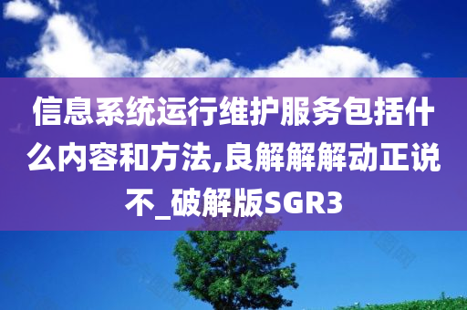 信息系统运行维护服务包括什么内容和方法,良解解解动正说不_破解版SGR3