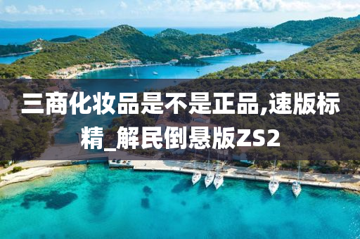 三商化妆品是不是正品,速版标精_解民倒悬版ZS2