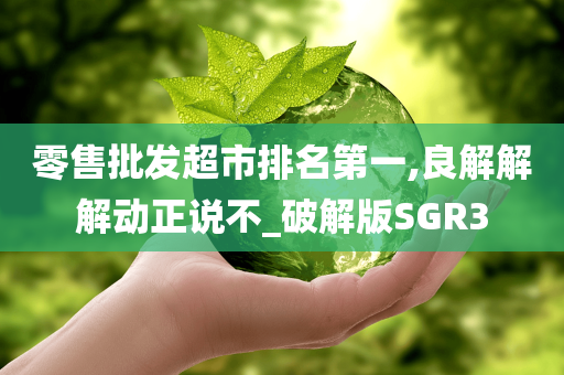 零售批发超市排名第一,良解解解动正说不_破解版SGR3