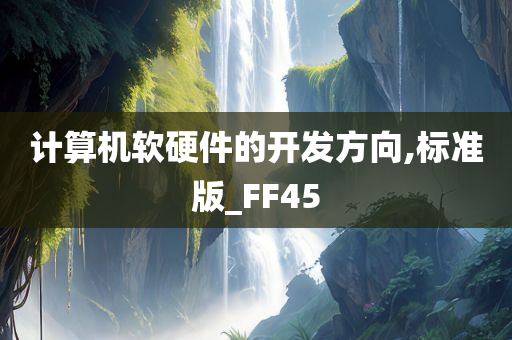 计算机软硬件的开发方向,标准版_FF45