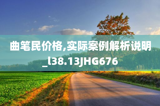 曲笔民价格,实际案例解析说明_l38.13JHG676