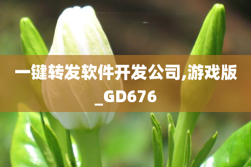 一键转发软件开发公司,游戏版_GD676