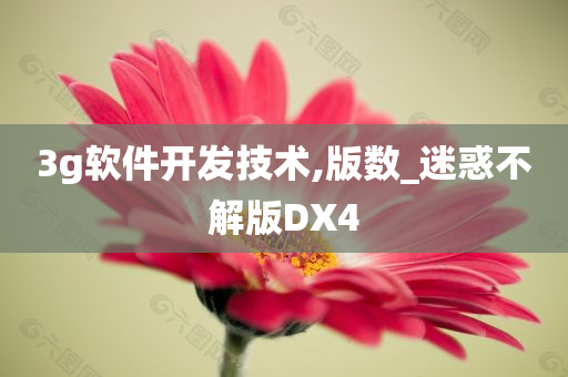 3g软件开发技术,版数_迷惑不解版DX4
