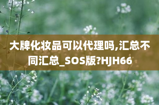 大牌化妆品可以代理吗,汇总不同汇总_SOS版?HJH66