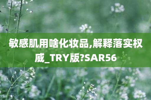 敏感肌用啥化妆品,解释落实权威_TRY版?SAR56